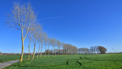 2025 04 06 111453 Outrijve Jan Demets
