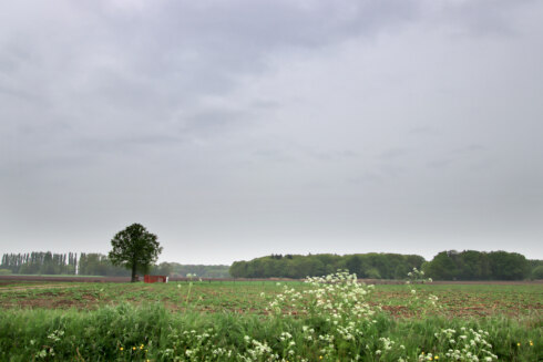 2025 04 23 121040 Meulebeke Luc Lambert