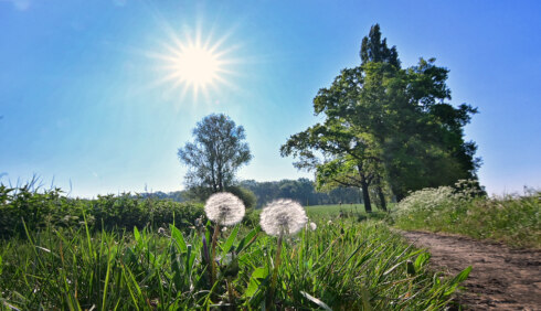 2025 04 28 114256 ZWEVEGEM Jan Demets
