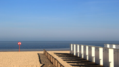 2025 04 29 123714 Knokke Fred van Soomeren