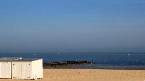 2025 04 30 120222 Knokke Fred van Soomeren