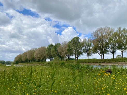 2025 05 28 130300 Beveren Leie Jan Vermeulen