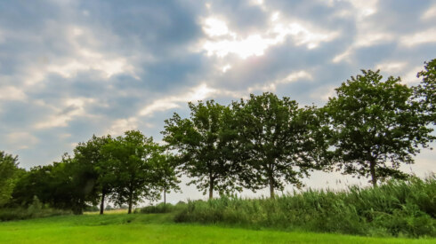 2025 06 09 105921 Deerlijk Willy Huys