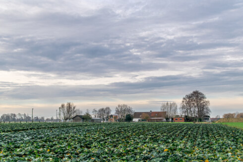 2025 12 22 104743 Roeselare Christine Bentein