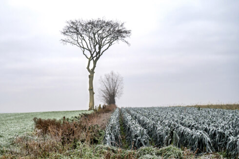 2025 12 29 124219 Diksmuide Jean Marie Vanderplancke