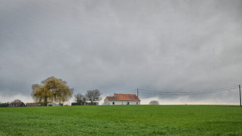 2026 02 19 112157 Moen Jan Demets