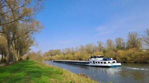 2026 03 21 143948 Bavikhove Toon Claerhout