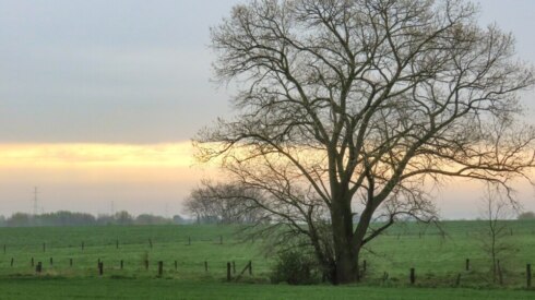 Weer 3 april 2026