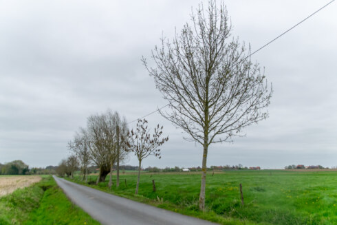 2026 04 03 150717 MOORSLEDE Christine Bentein