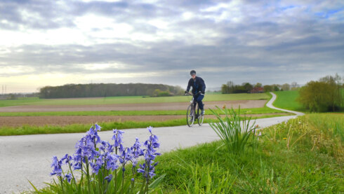 2026 04 16 114940 Tiegem Jan Demets
