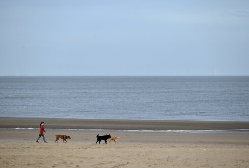 2024 10 20 113225 Knokke heist Anne marie Maertens