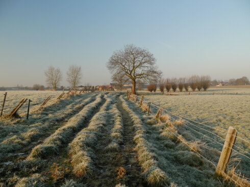 2025 02 03 130810 Deerlijk Rik Vandercruyssen