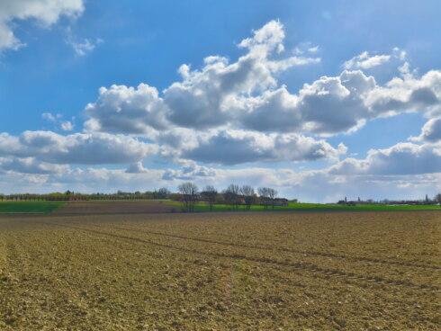2025 04 14 111713 Bellegem Ghislain Van De Meulebroeke