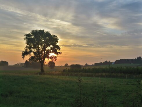 Marke weer zonsondergang