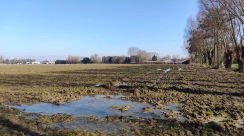 Scholencampus Ieper