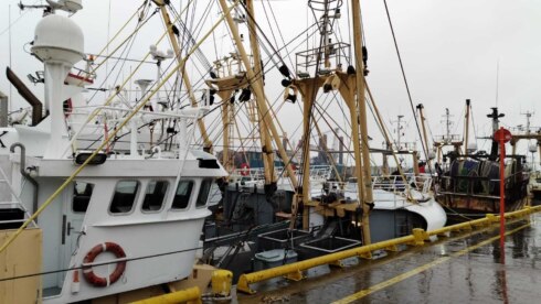 Boot haven Oostende