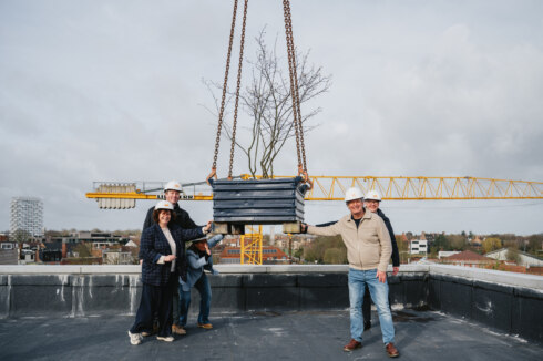 Schepenen plaatsen meiboom op hoogste punt van nieuwe woonproject op vroegere site van koffiebranderij Bruynooghe in Kortrijk