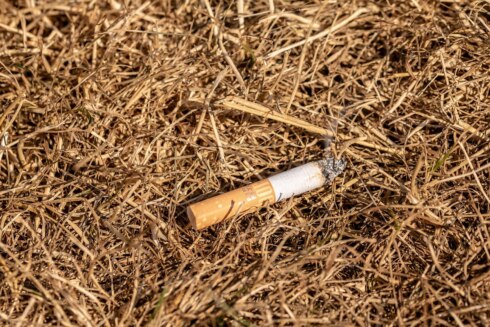 Droogte 1