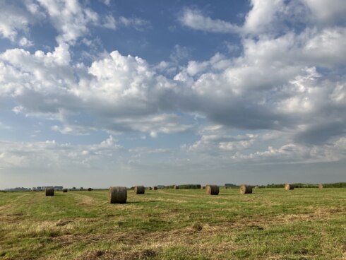 Weer Uitkerke