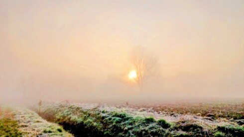 Ingelmunster zon mist weer