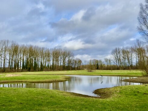 Deerlijk weer wisselvallig landschap akker