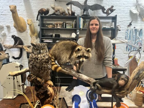 Taxidermie 1
