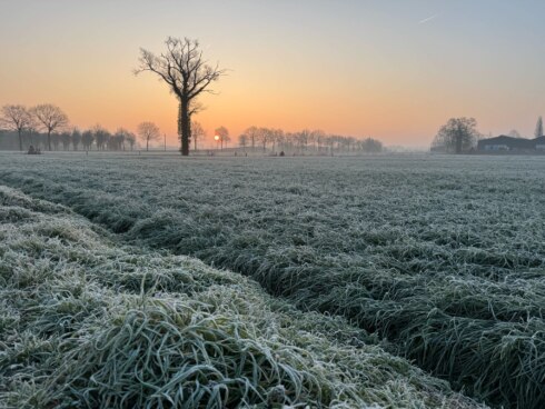 Weerfoto 15 feb