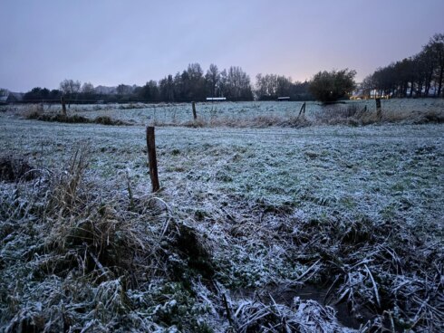 Weerfoto Loppem