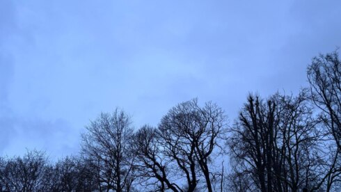 Weerfoto regenachtig bewolkt winter