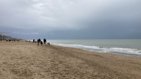 Orka Kust Koksijde 3 29-10-2023