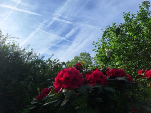 Het weer zonnig