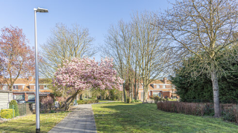 Willy Vanbeveren DIKSMUIDE weer lente
