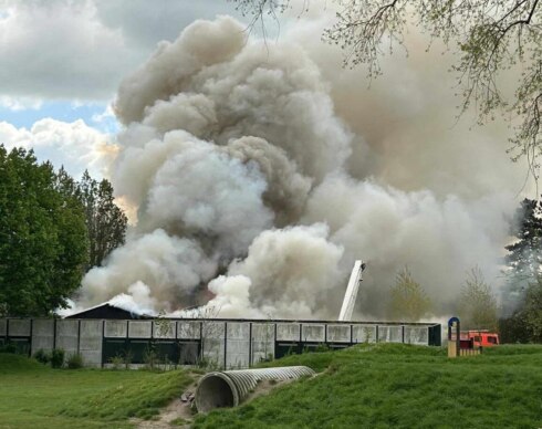 Brand1