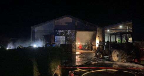 Brandloodswatoudieren