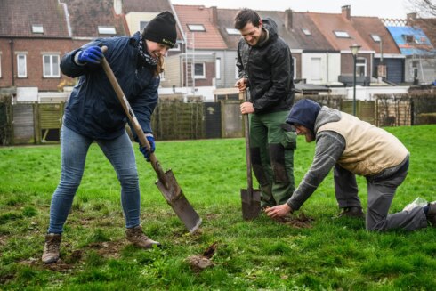 Dubbele haagjes 2