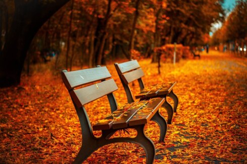 Herfst weerfoto