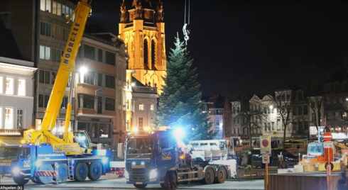 Kerstboom kortrijk