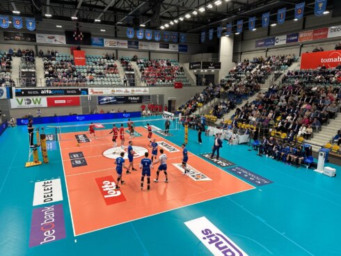 Knackroeselare maaseik