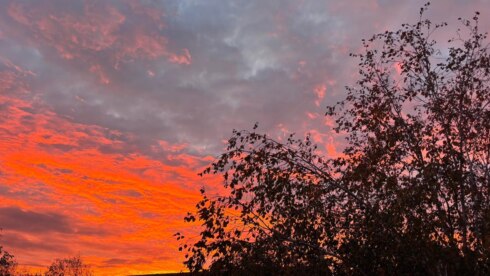 Ochtendrood weerfoto