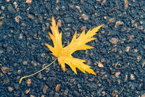 Herfst