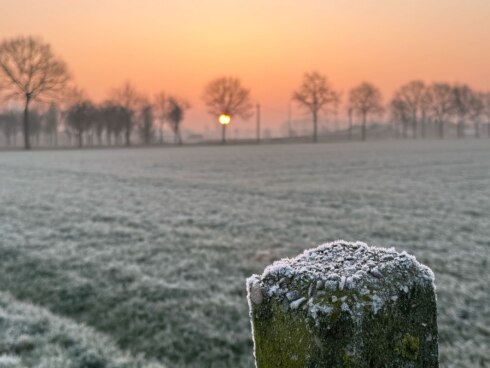 Weefoto 14februari2025