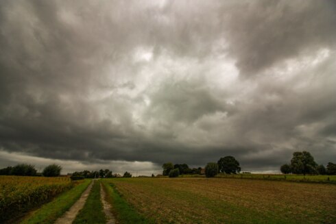 Weer12okt
