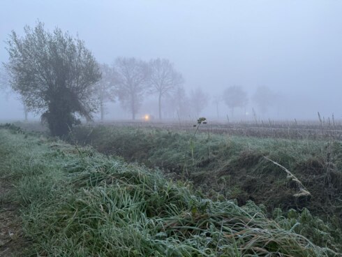Weer30nov