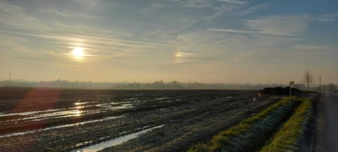 Weerfoto winterzon