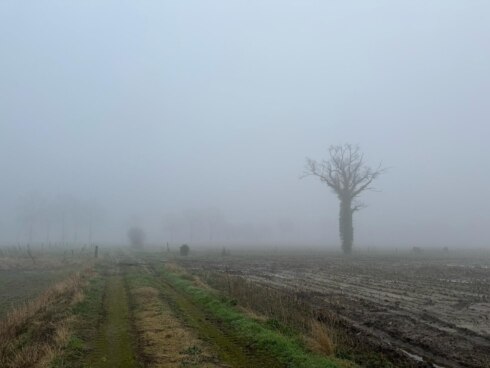 Weerfoto