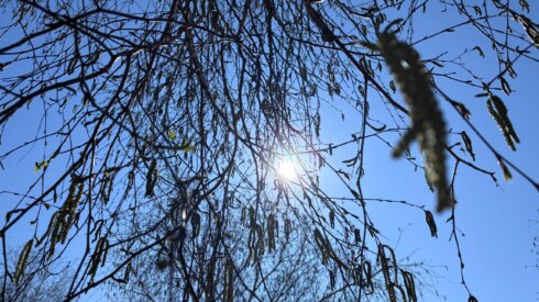Zon en droogte