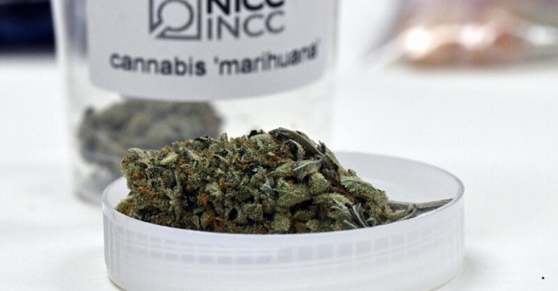 Rechtbank Veurne: geen straf voor cannabishandel in Nieuwpoort