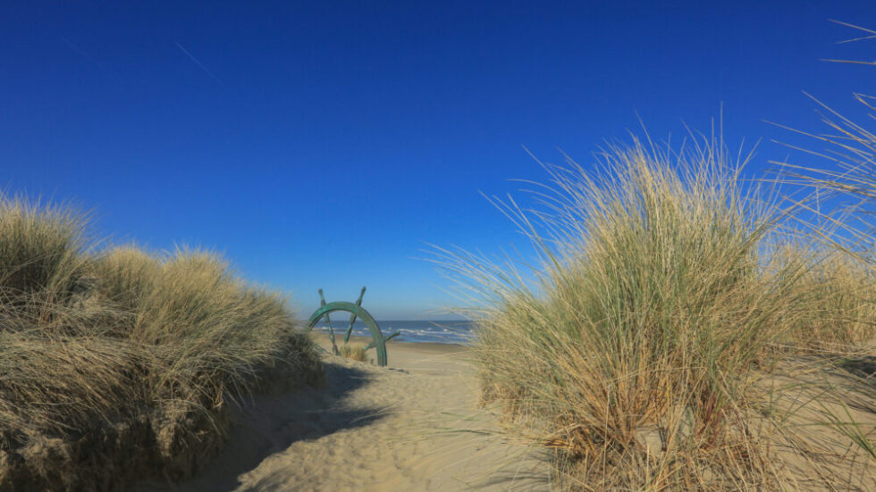 Weer
