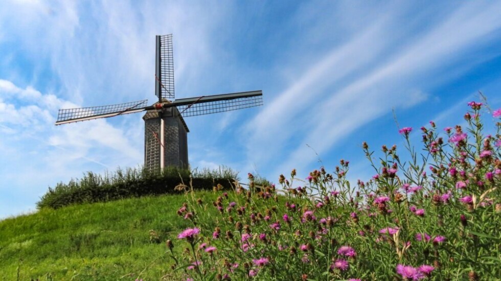 2026 06 28 105524 Harelbeke Willy Huys