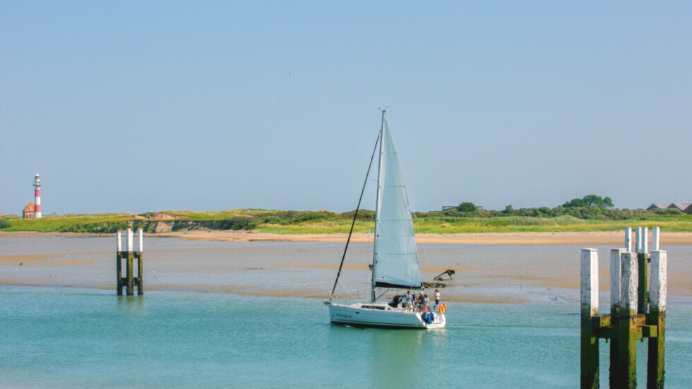 2026 07 01 105250 Nieuwpoort Ludo Coulier